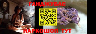 молекула духа Будённовск
