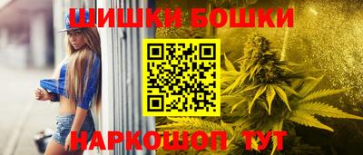 молекула духа Будённовск