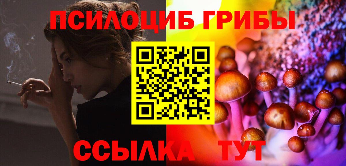 Псилоцибиновые грибы MAGIC MUSHROOMS Черкесск