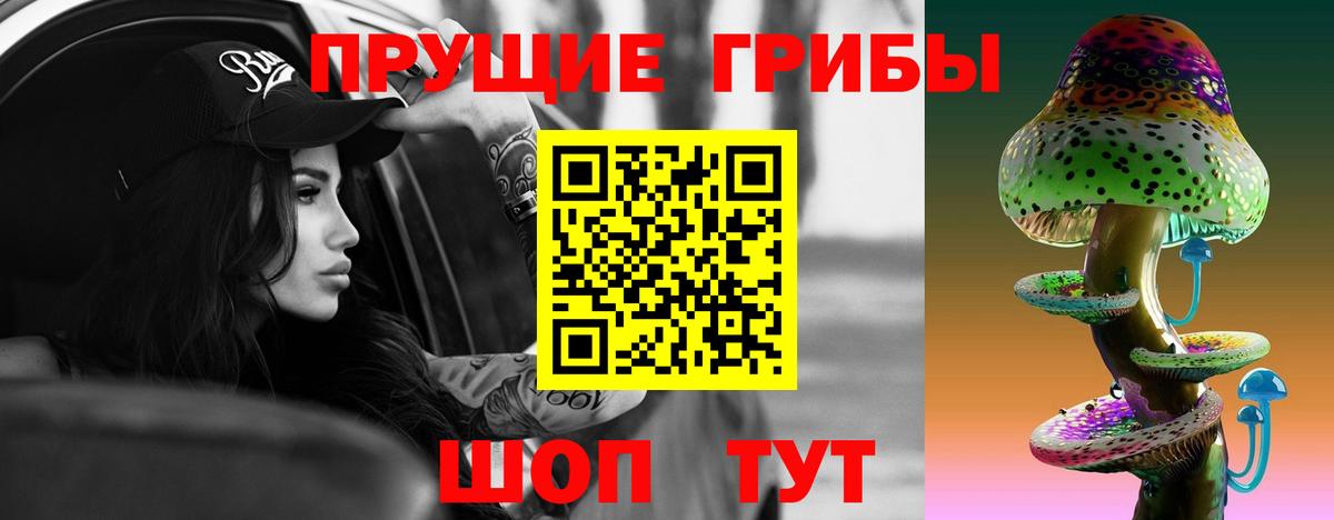Черкесск  Псилоцибиновые грибы Psilocybe  Галлюциногенные грибы Magic Shrooms  купить   Вход с VPN 